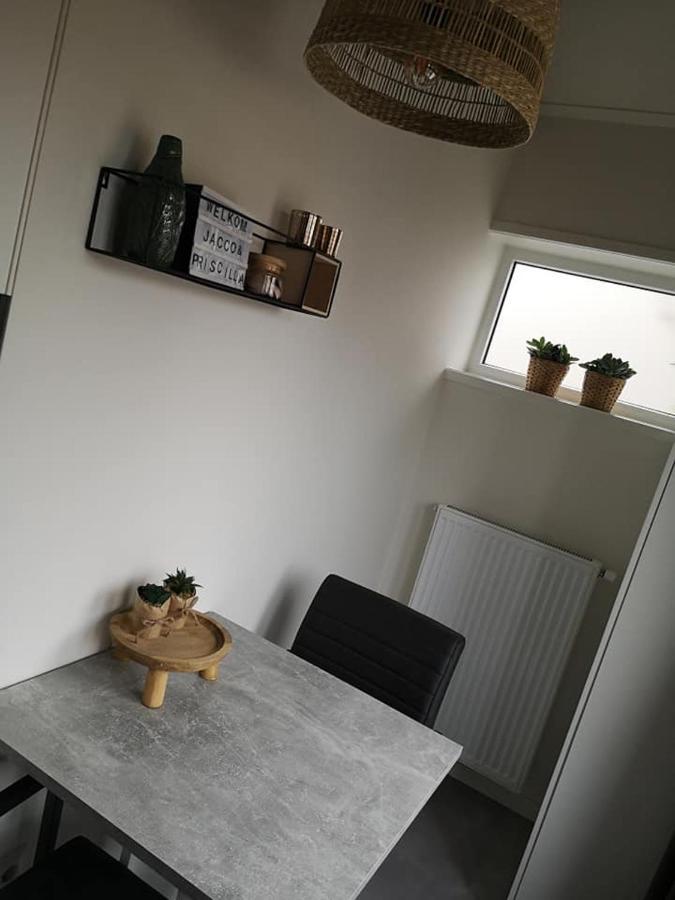 Studio Zwin 9 Zoutelande Eksteriør billede